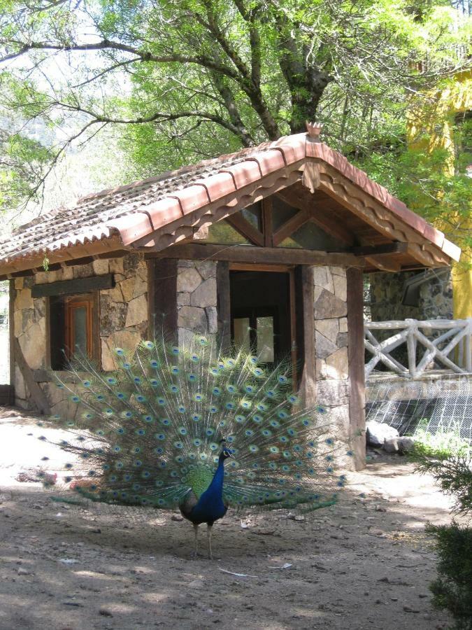 Hotel Rural Los Frutales Cercedilla Eksteriør billede